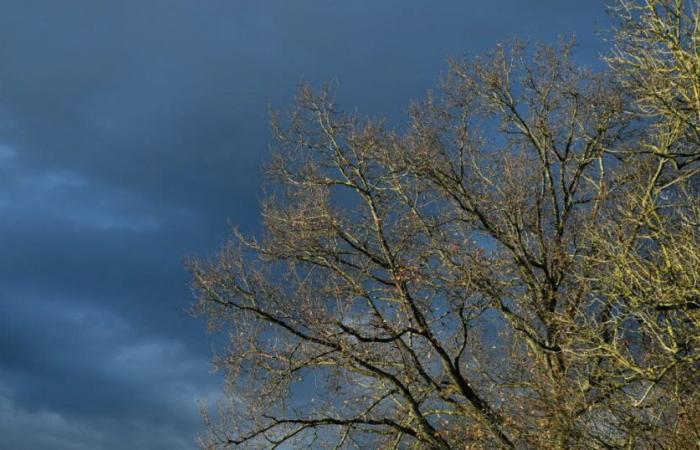 Weather/Saône-et-Loire. This Thursday, a humid start to the day, a milder afternoon