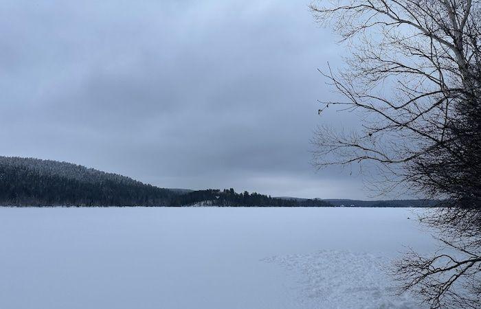 A real estate project on land bordering a lake arouses indignation