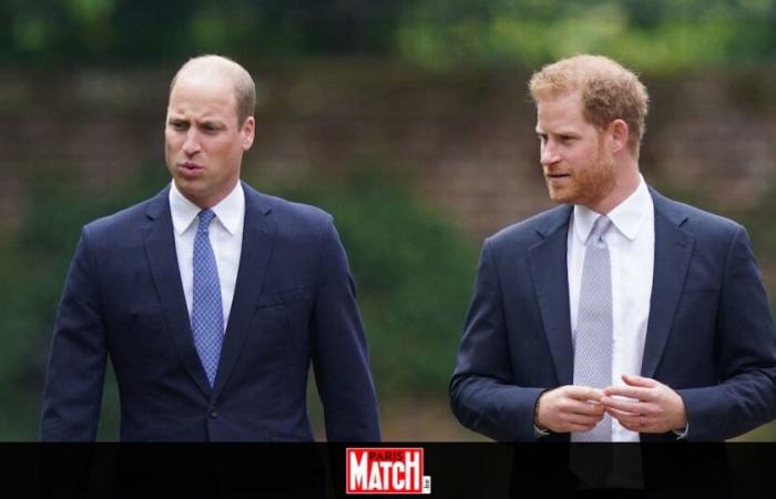 “This duo…”: the complicity between princes Harry and William goes viral