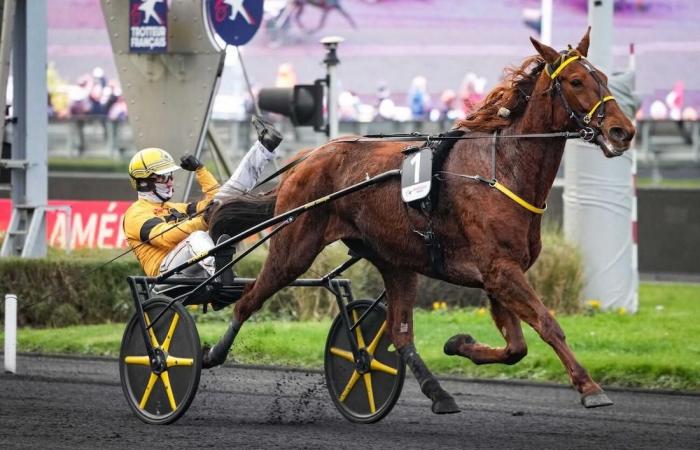 Quinté+: Sunday in Vincennes: The starters of the Prix d’Amérique Legend Race