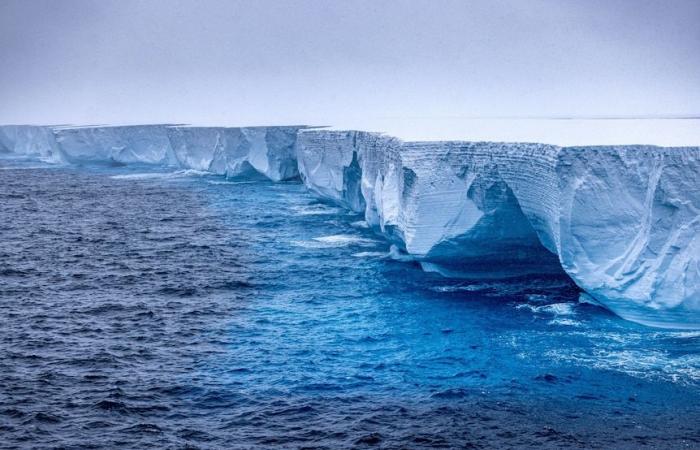 World’s biggest iceberg A23a drifting towards penguin-packed island