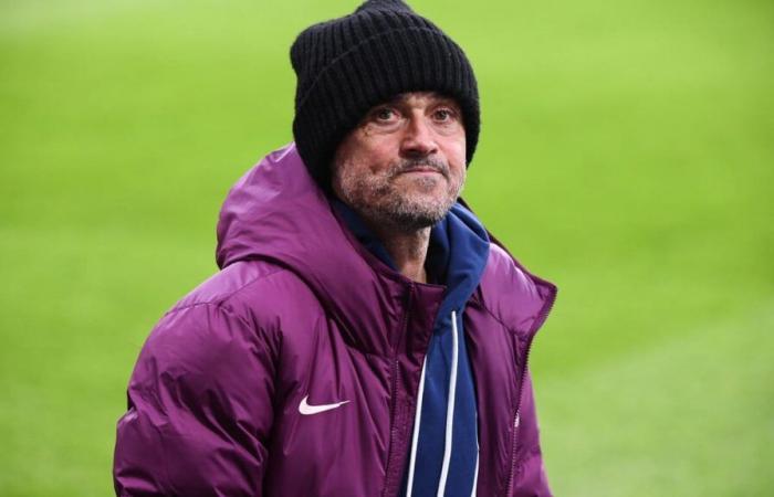 PSG: Riolo denounces “the crazyness” of Luis Enrique!