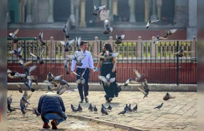 Rains likely in Jaipur, Bikaner, and Bharatpur divisions today | Jaipur News