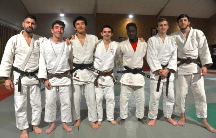 These young judokas from Gironde win departmental medals