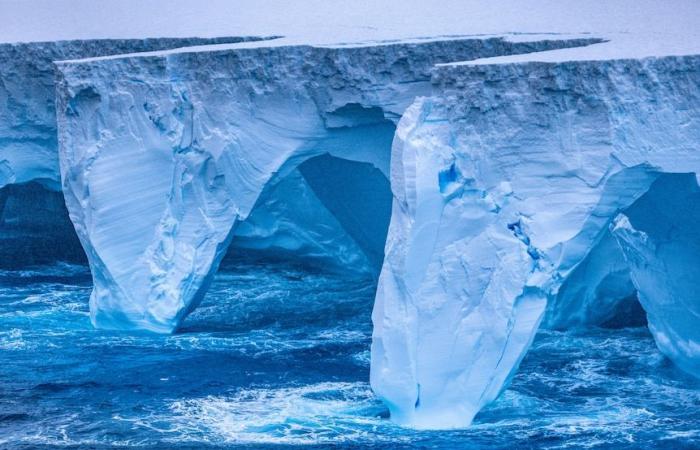 World’s biggest iceberg A23a drifting towards penguin-packed island