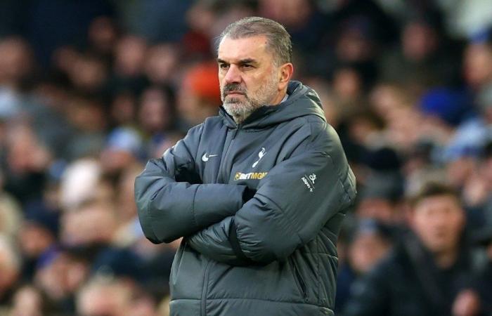 Meet ‘Austrian Ange Postecoglou’ leading Hoffenheim to brink of relegation as ‘Doctor Tottenham’ face perfect patient