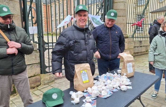 Assimilated to dealers by the OFB, farmers from Orne offer bags of flour in the street