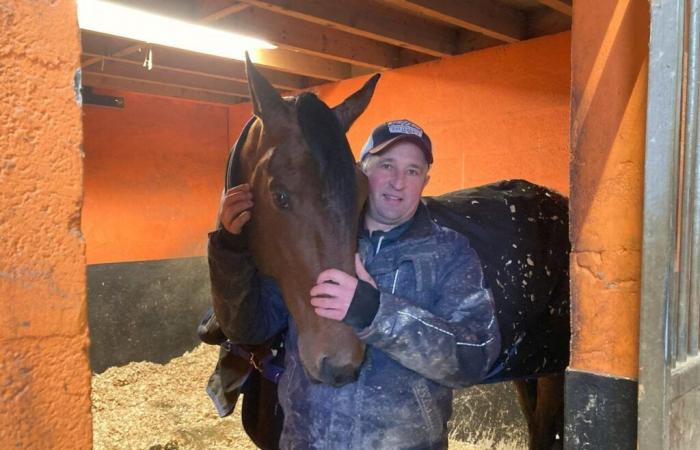 Major trainer in Orne, Sébastien Guarato aims for the top 5 at the Prix d’Amérique on Sunday in Vincennes