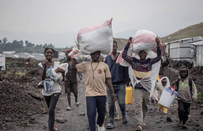 Near Goma, the concern swells in the face of the advances of the M23 – Liberation