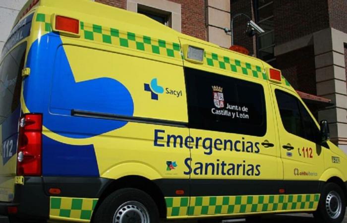 A 74-year-old woman dies in a traffic accident in the municipality of Codorniz | Society