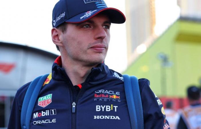 F1: New driver, Red Bull announces “a puppy” to face Verstappen!