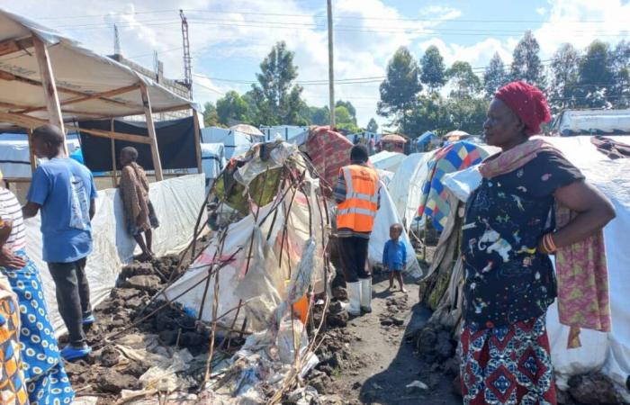 The city of Goma transformed into a large camp for displaced people fleeing the M23 war