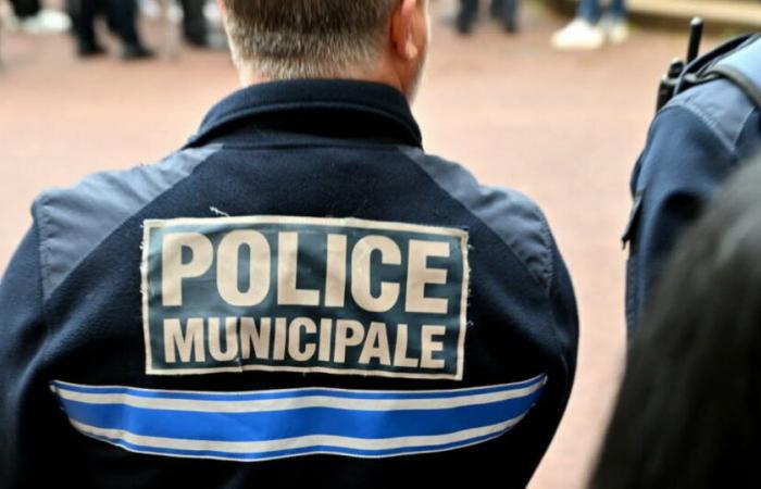 Metropolis of Lyon. An armed man arrested in the metro in Vaulx-en-Velin