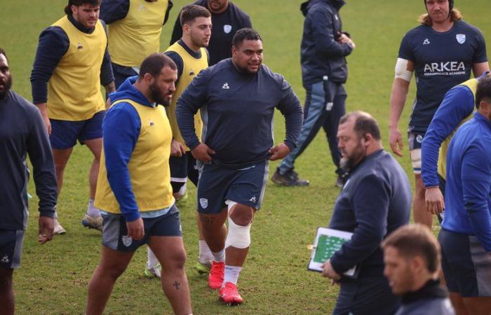 XV of France. Top 14 – Tevita Tatafu, who returned to training with Bayonne, has “a good chance” of being a substitute in Perpignan on Saturday