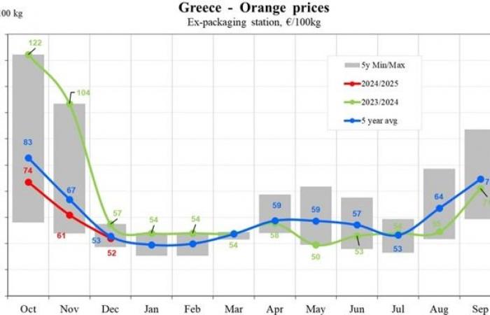 Orange prices drop to €48/100 kg in southern Europe for the 2024/2025 season