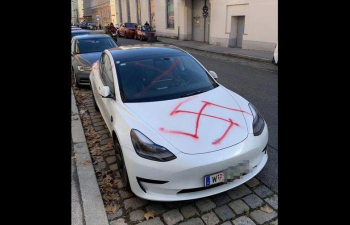 Is your Tesla in danger because of hatred towards Elon Musk?