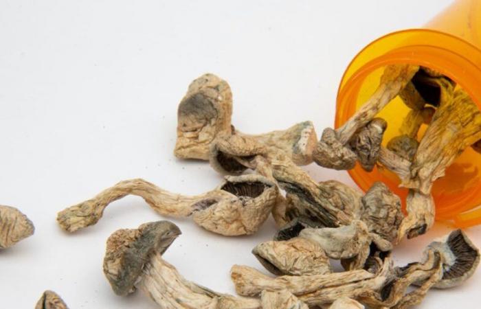 Psilocybin treatment of eating disorders shows promise, but more controlled research needed