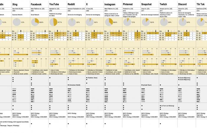 MACH Strategy: Table of social media consumption in Switzerland