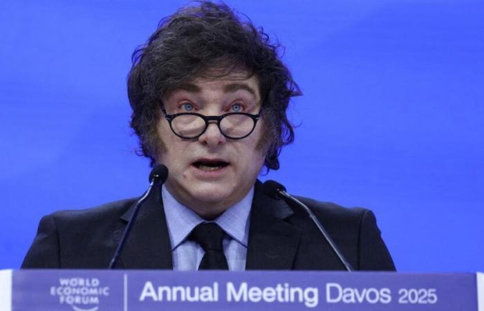 at the Davos Forum, Javier Milei takes out the sulphate against “wokism”