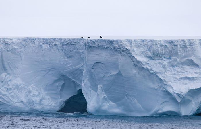 A23a: Fears that the world’s biggest iceberg could hit island in the South Atlantic