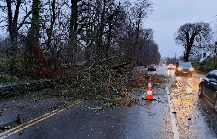 Ireland weather: Status Red wind warning for all counties as Met Éireann warns of ‘danger to life’ during Storm Éowyn