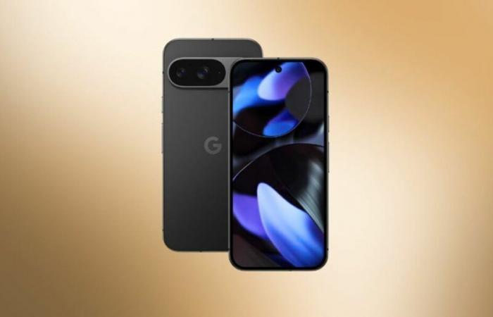 Less than 6 months after its release, the Google Pixel 9 sees its price drop thanks to this crazy discount