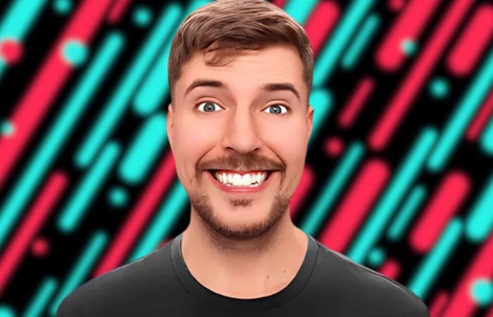 TikTok soon in the hands of the most followed YouTuber in the world?