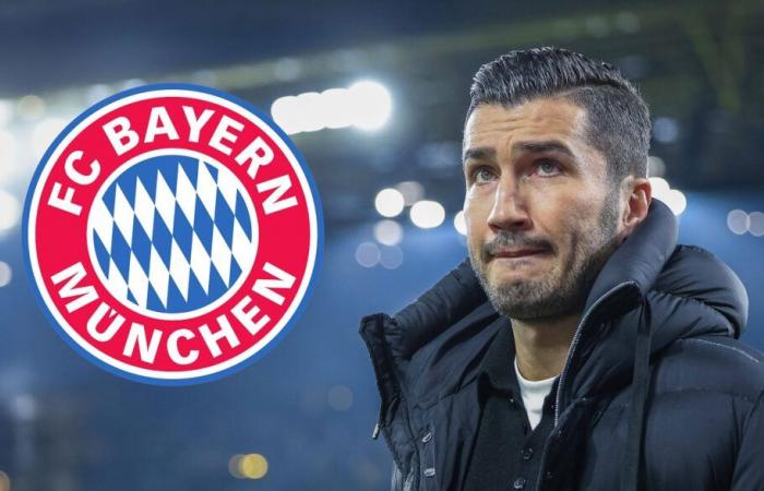 FC Bayern dismisses Nuri Sahin