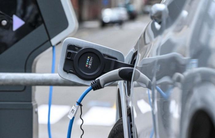 Automobile: the French are increasingly hesitant to switch to electric despite user satisfaction – 01/23/2025 at 09:08