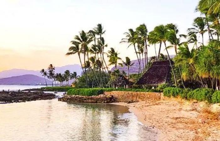 Chat GPT Hawaii Travel Fails: What We Didn’t Expect