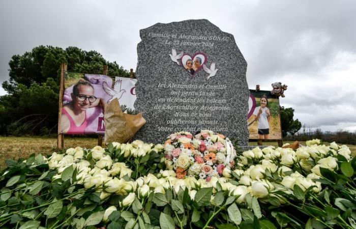 “That day, a family was destroyed”, strong emotion during the tribute to the farmer and her daughter killed in Pamiers