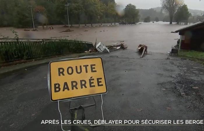 After floods, clear to secure the banks