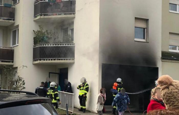 Mulhouse. Fire in the trash room of a seven-story building