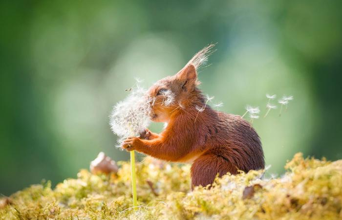 The sublime winning photos in the wildlife category of the 1839 Awards 2024