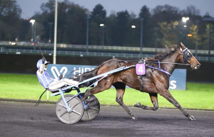 Luxembourg Prize, the new test of Gaspar d’Angis behind the car