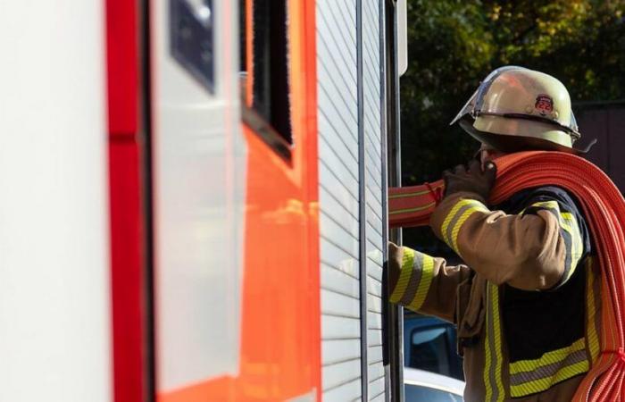 Fire: Fire destroys a recycling hall in Kaiseraugst (AG)