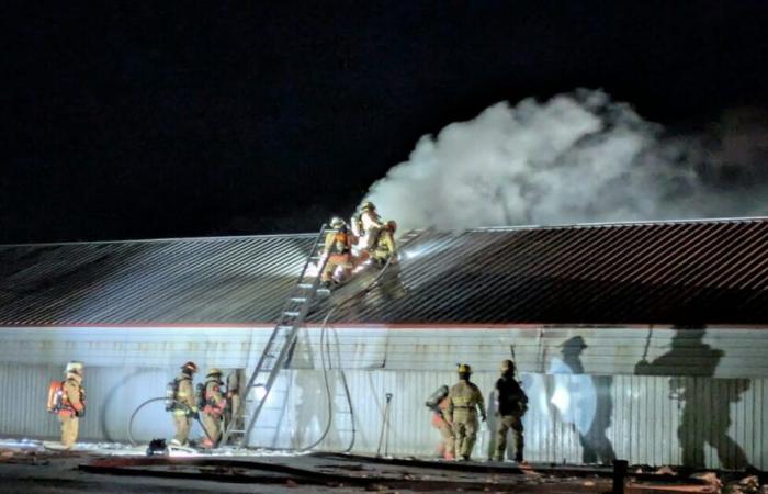 A fire in a pigsty in Saint-Simon