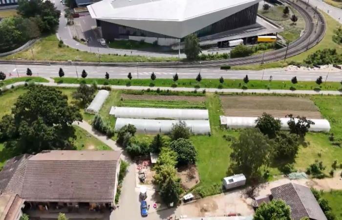 The Bassenges farm on the EPFL campus will be repurposed as a science center – rts.ch