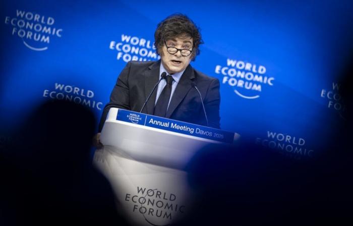 Javier Milei makes case against wokism in Davos