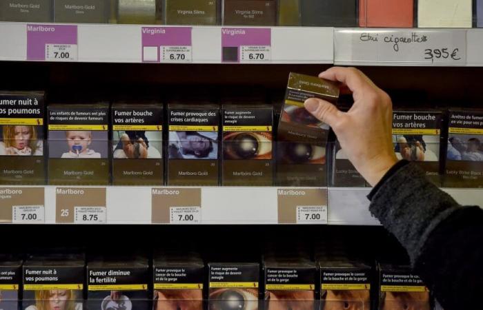 these tobacco brands which will increase on February 1st