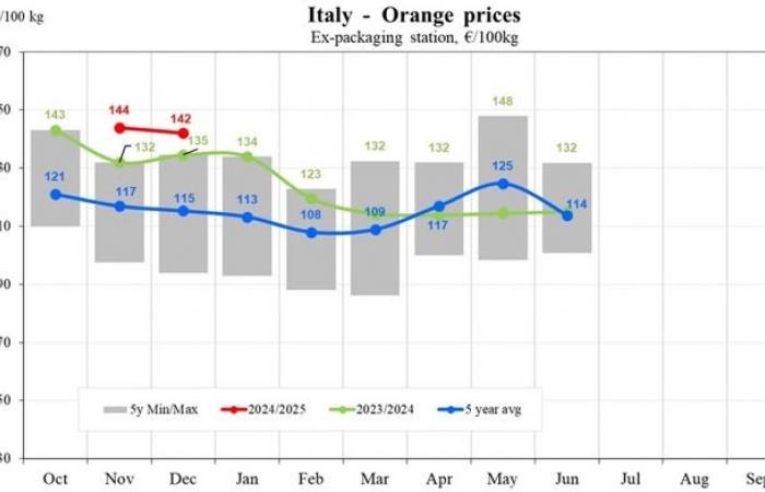 Orange prices drop to €48/100 kg in southern Europe for the 2024/2025 season