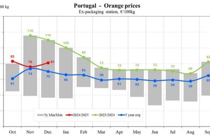 Orange prices drop to €48/100 kg in southern Europe for the 2024/2025 season