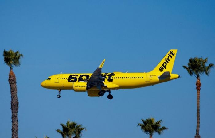 Senators question whether Frontier and Spirit Airlines are manipulating seat prices. -January 23, 2025 at 00:47