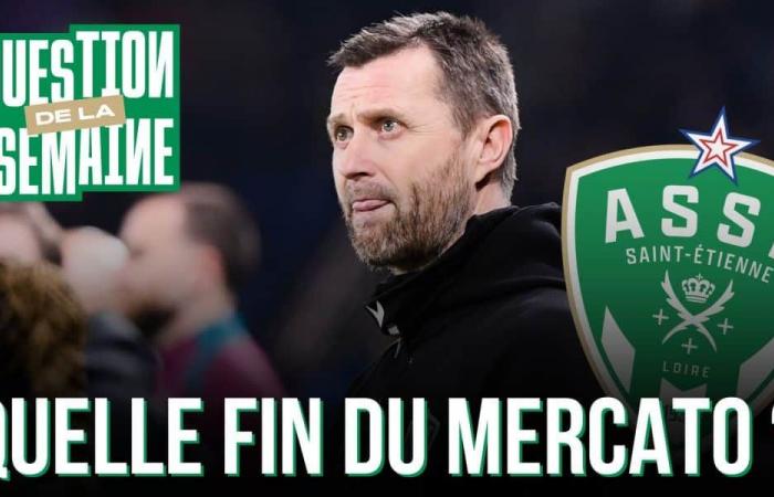 ASSE: what end to the Mercato for the Greens?