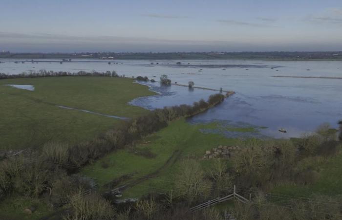 Two hunters found dead in their gabion in a Channel marsh