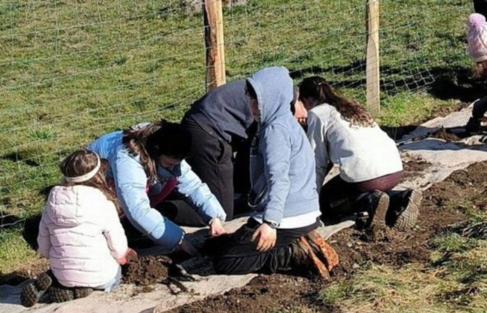 Children sow the future by planting trees – Tarn et Garonne