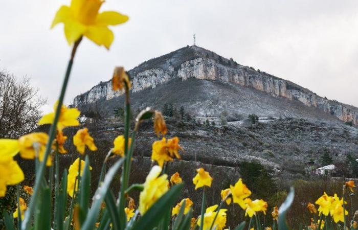 Millau and South Aveyron, real stars of France 2's 1 p.m.