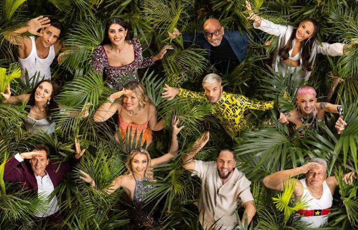 Jungle Camp 2025: Exclusive photos! BILD was already in the bush before the candidates | Entertainment