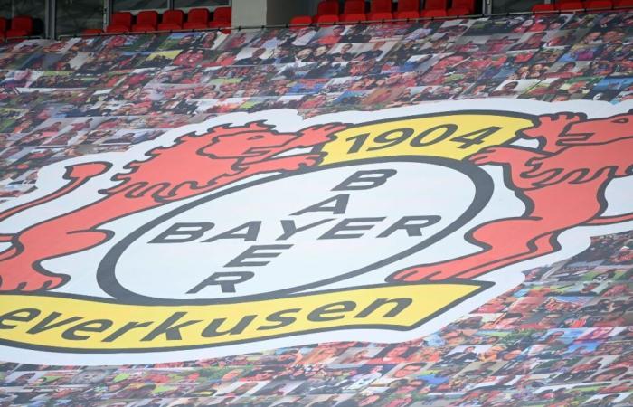 Bayer Leverkusen attacks a Senegalese international