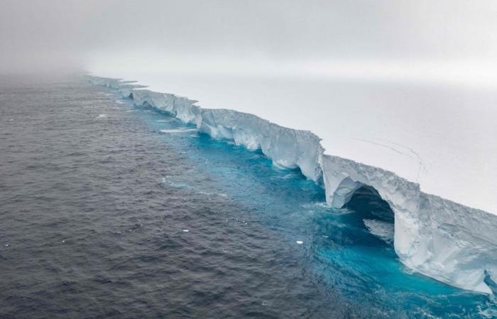 Where will the world’s largest iceberg end up?